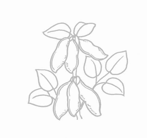 糖果派对 - 更优质的游戏运营商官网