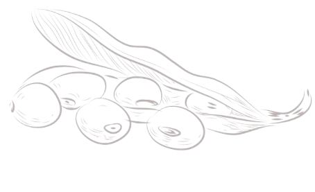 糖果派对 - 更优质的游戏运营商官网